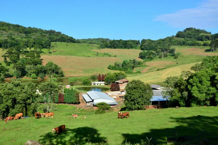 Foto: Reprodução/Secom SC