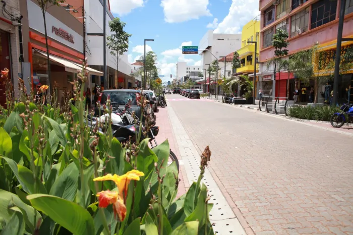 Foto: Reprodução/Prefeitura de Campo Grande - MS