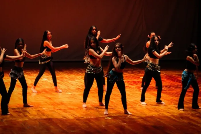 As propostas devem ser enviadas exclusivamente pela plataforma eletrônica para pessoas físicas e jurídicas