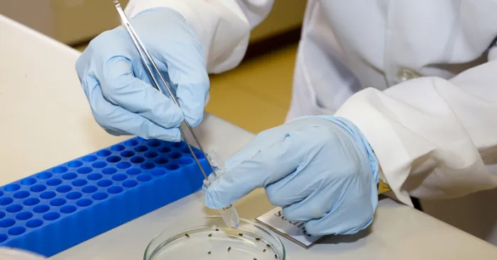 Estudo analisou os dados de mais de 1.800 amostras de bancos públicos dos Estados Unidos, Itália, China, Espanha, França, Alemanha, Reino Unido e Taiwan