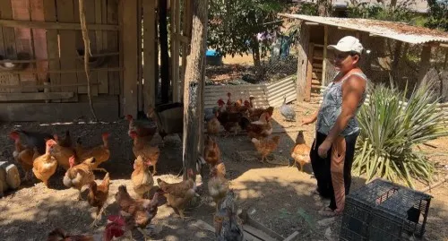 Foto: Reprodução/Prefeitura de Porto Velho - RO