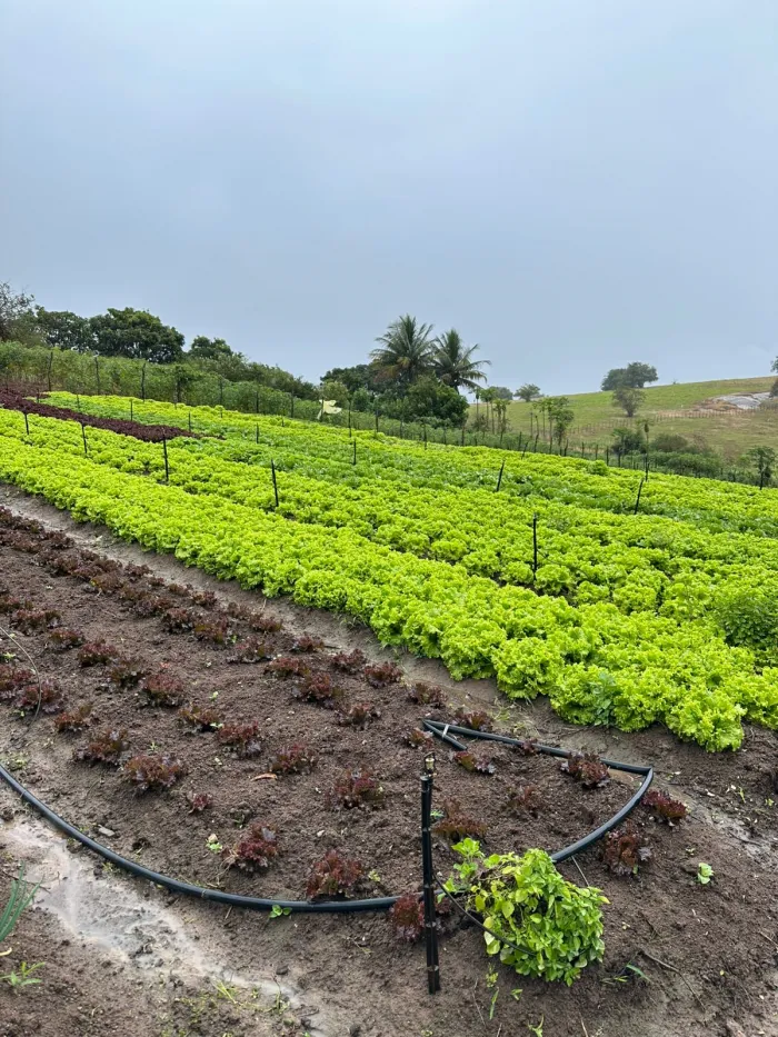 Foto: Reprodução/Prefeitura de Caruaru - PE