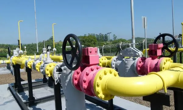 Foto: Reprodução/Secom SC