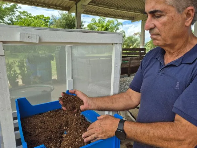 Projeto da Epagri em Itajaí busca identificar criadouros do maruim transmissor da febre Oropouche