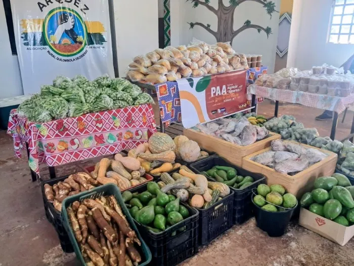 Prefeitura já entregou 76 toneladas de alimentos a indígenas e quilombolas