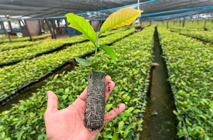 Foto: Reprodução/Secom Acre