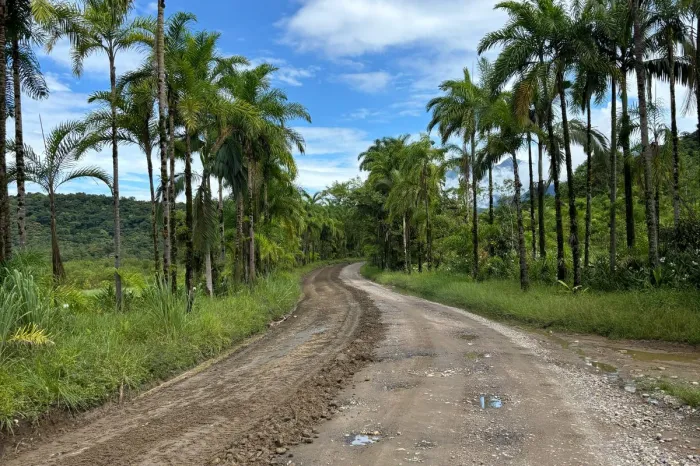 Foto: Reprodução/Secom Paraná