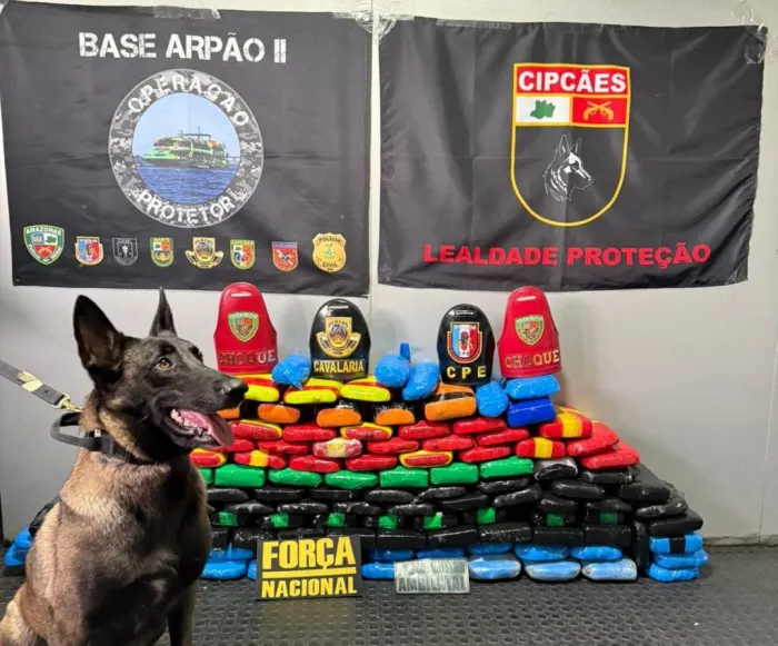 Foto: Reprodução/Agência Amazonas