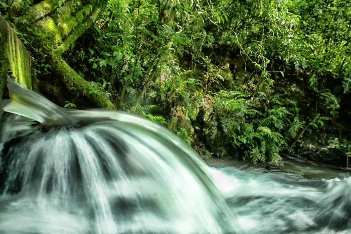 Foto: Denis Ferreira Netto/SEDEST