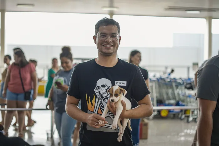 Saiba como adotar animais domésticos em Lucas do Rio Verde