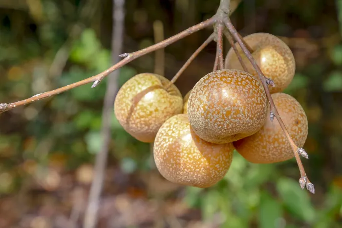 Foto: Reprodução/Secom Paraná