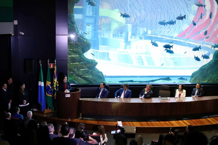 Foto: Ed. Machado/ Conseplan