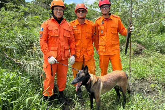 Do total de atendimentos realizados em 2026, 36 correspondem a ações de busca e salvamento de pessoas desaparecidas - Ascom CBMAL