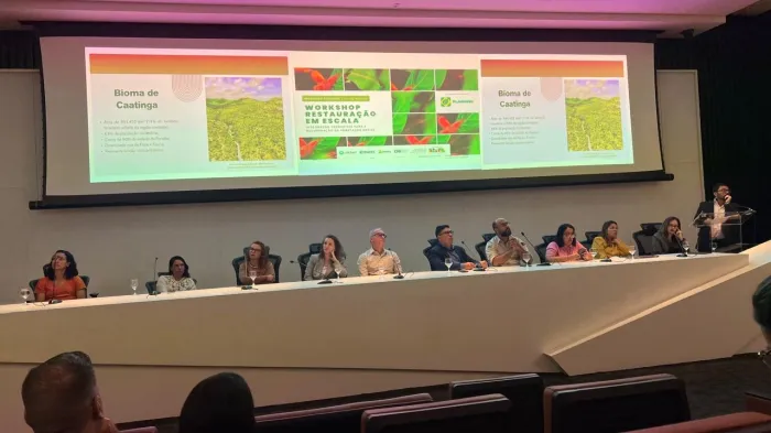 Projetos Regulariza-PB e Nascente Viva ganham destaque em workshop nacional sobre restauração da vegetação nativa em Brasília