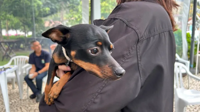 Foto: Reprodução/Secom SC