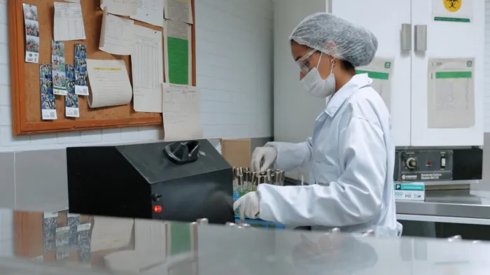 São várias etapas realizadas até o resultado - Ascom IMA/AL