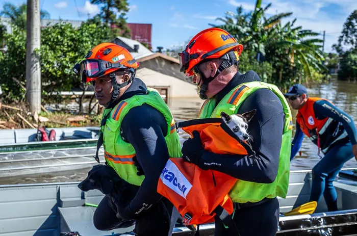 Resgate de animais atingidos pelas enchentes no Rio Grande do Sul, em 2024 - Foto: Thiago Guimarães/Pref. Canoas