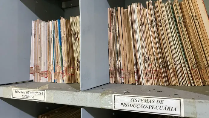 Foto: Fabrício Nunes/Ascom Emater-Pará