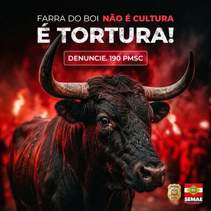 Governo do Estado promove campanha de conscientização contra a farra do boi em Santa Catarina