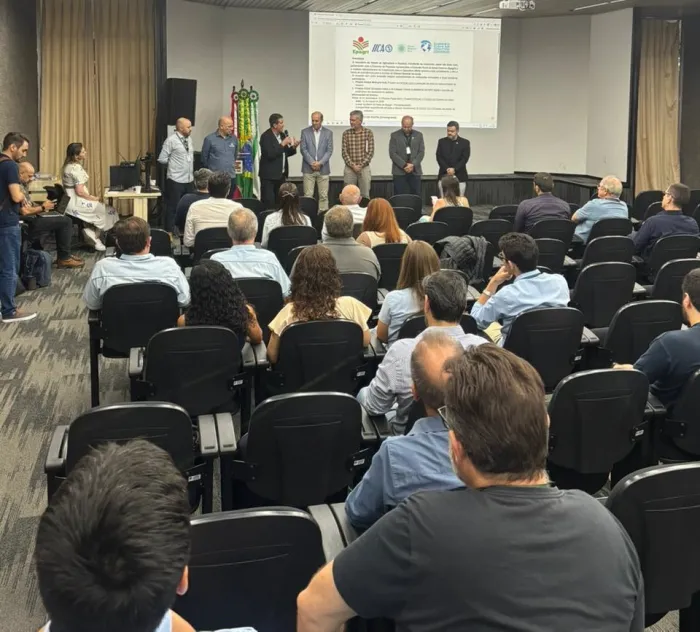 Câmara Setorial debate arroz sustentável e oportunidades no mercado de créditos de carbono em SC