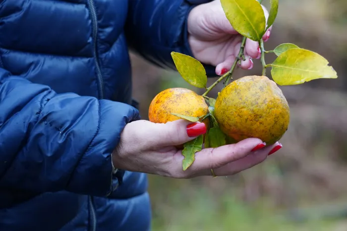 Foto: Reprodução/Secom Paraná