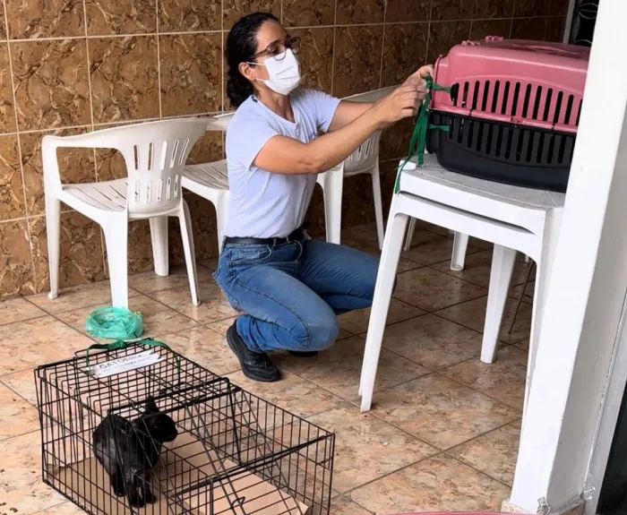 Foto: Reprodução/Agência Belém