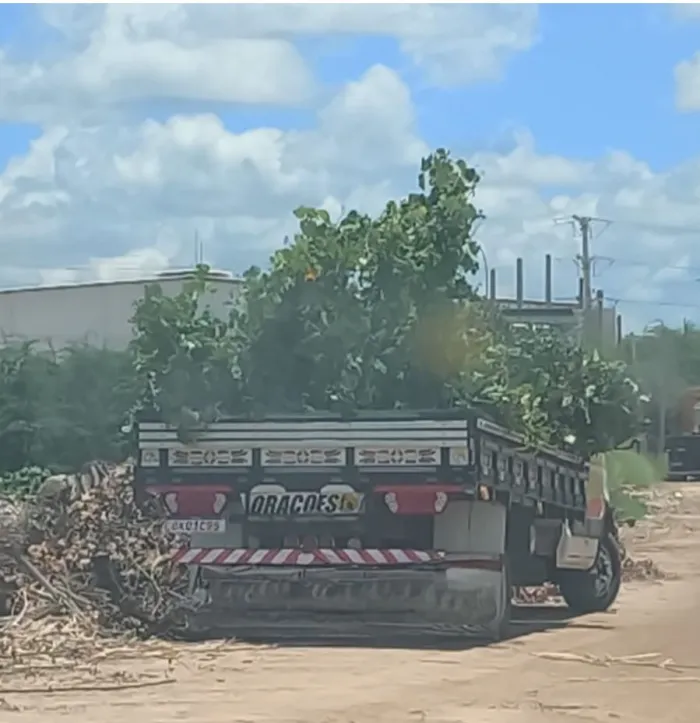 Foto: Reprodução/Prefeitura de Petrolina - PE
