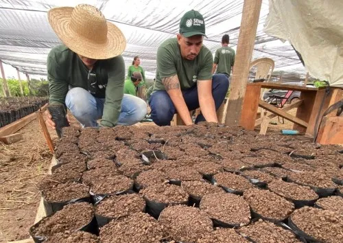 Foto: Reprodução/Prefeitura de Porto Velho - RO