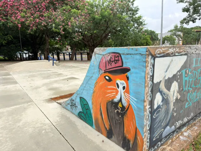 Foto: Reprodução/Prefeitura de Campo Grande - MS