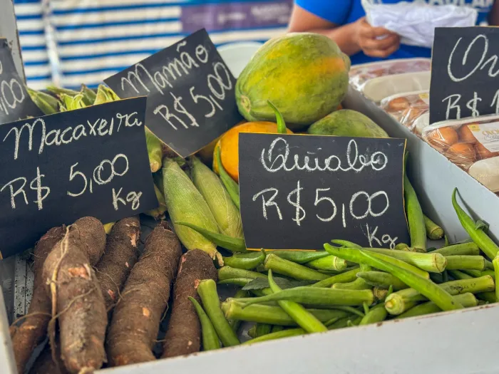 Entre os produtos que poderão ser encontrados estão plantas e raízes, artesanato, mel e derivados - Ascom Seagri