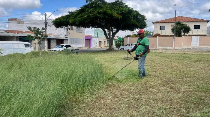 Prefeitura divulga cronograma de mutirões de limpeza e poda de árvores para o período de 16 a 21 de março