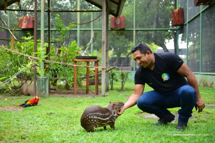 Foto: Reprodução/Prefeitura de Boa Vista - RR