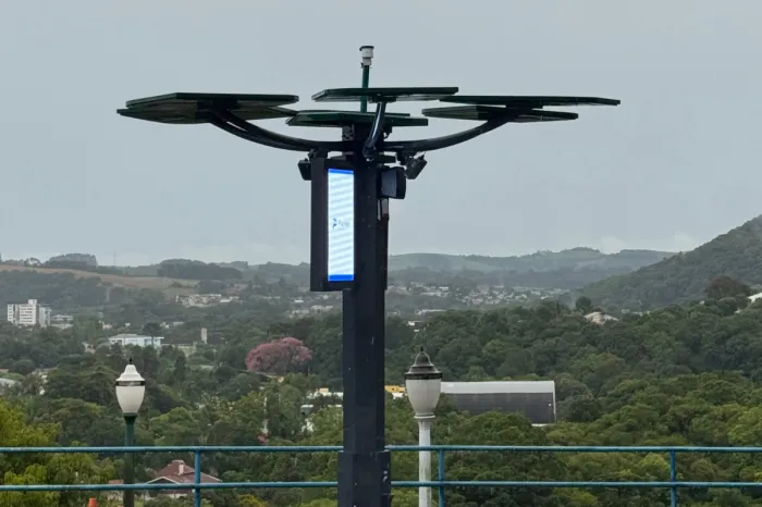 Conectividade e IA: startup cria “araucária digital” com apoio do Paraná Anjo Inovador