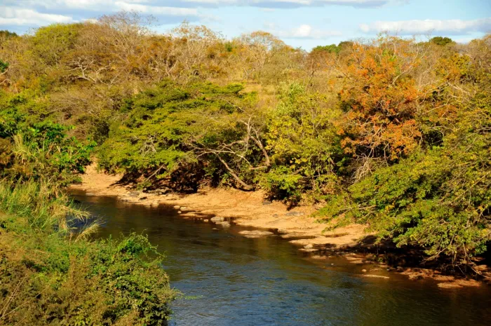 Evandro Rodney / IEF