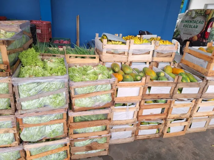 Entrega de alimentos em Álvares Machado