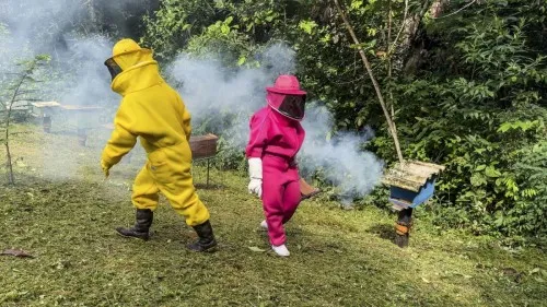 Foto: Reprodução/Prefeitura de Porto Velho - RO
