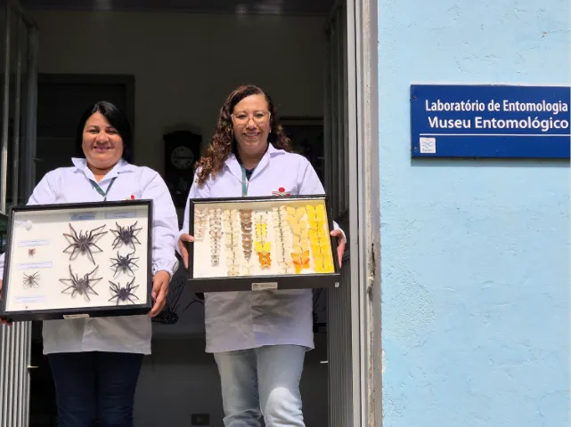 Museu Entomológico de Caçador aproxima Epagri da comunidade, educa sobre a natureza e qualifica profissionais