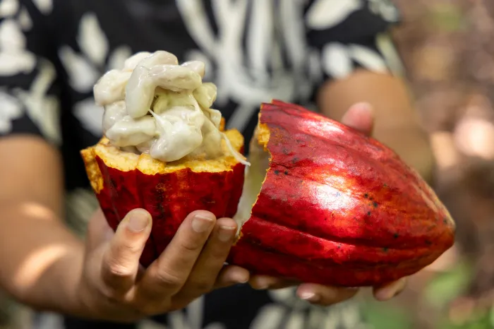 Foto: André Frutuôso/Ascom CAR