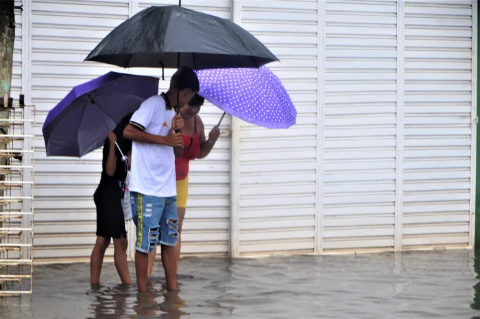 O contato direto com água de alagamentos, inundações e enchentes pode desencadear a leptospirose - Fotos: Carla Cleto e Marco Antônio