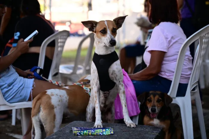 Foto: Reprodução/Agência Amazonas