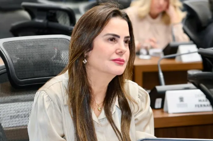 Mara Caseiro solicita implantação de aeroporto para Bataguassu