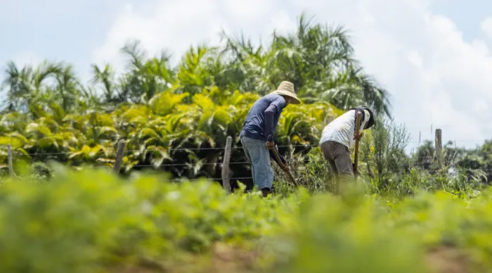 Agricultores de 14 municípios começam a receber recursos do Garantia Safra