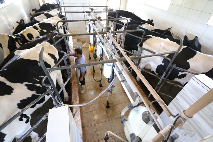 Foto: Reprodução/Secom Paraná