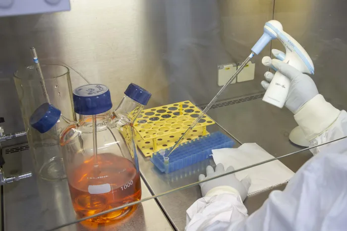 Foto: Reprodução/Secom Paraná