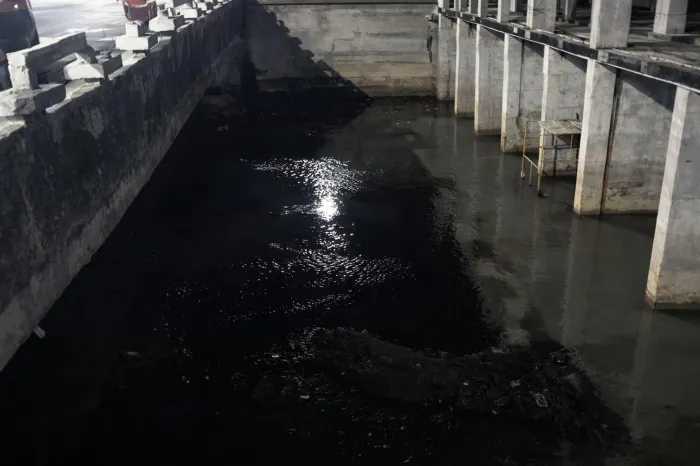 Equipe ambiental fez uma avaliação técnica no local - Ascom IMA/AL