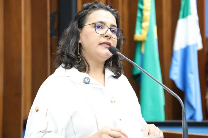 Proposta declara utilidade pública da Rede Feminina de Combate ao Câncer de Anastácio
