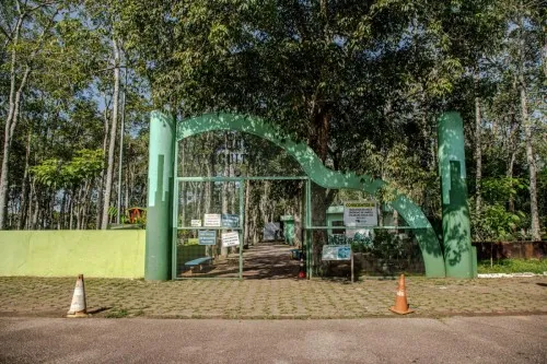 Com obras no Parque Circuito, vacinação de animais é feita na Divisão de Zoonoses