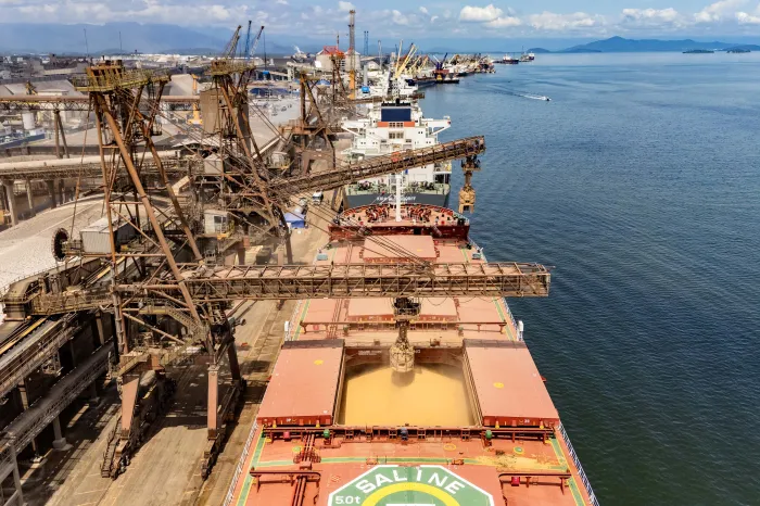 Soja e carnes lideram exportações pelos portos paranaenses no 1º bimestre