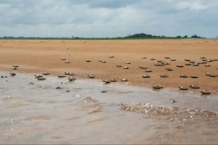 Foto: Helder Lana - Divulgação
