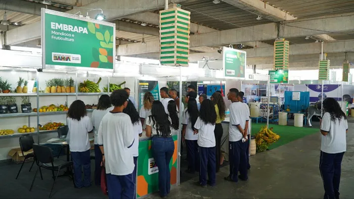 Novo serviço do Feagri conecta municípios a órgãos estratégicos da agropecuária baiana